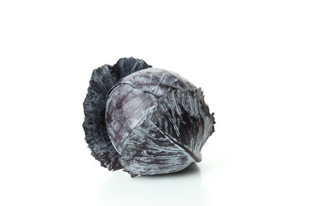 Single fresh cabbage isolated on white backgroundの写真素材