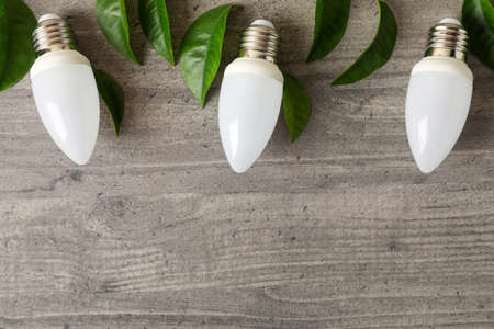 Energy saving bulbs with leaves on gray textured background.の写真素材