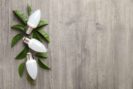 Energy saving bulbs with leaves on gray textured background.の写真素材