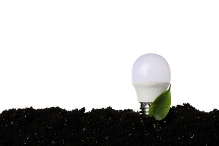 Energy saving bulb with leaf in soil isolated on white background.の写真素材