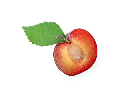 Half ripe plum, isolated on white background/の写真素材
