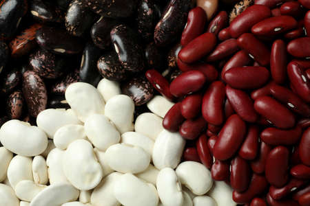 Different types of beans, all over background