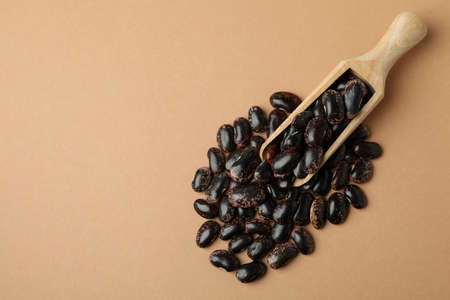 Scoop with black beans on beige backgroundの写真素材