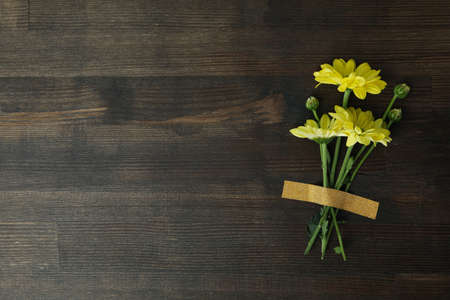 Yellow chrysanthemums stuck on wooden background, space for text.の写真素材