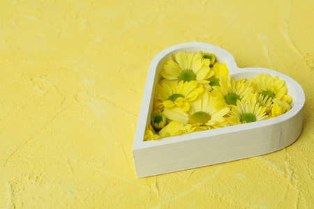 Heart with chrysanthemums on yellow textured background.の写真素材