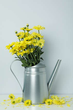 Watering can with chrysanthemums against light background.の写真素材