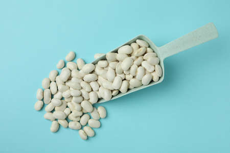 Scoop of white beans on blue backgroundの写真素材