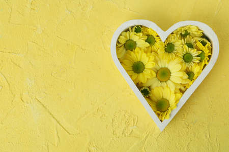 Heart with chrysanthemums on yellow textured background.の写真素材