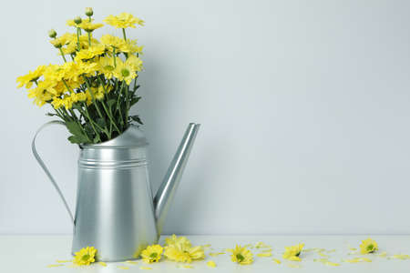 Watering can with chrysanthemums against light background.の写真素材