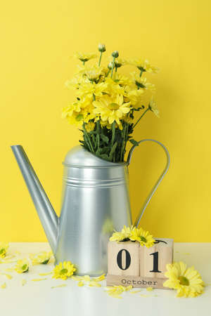 Autumn composition with chrysanthemums against yellow background.の写真素材