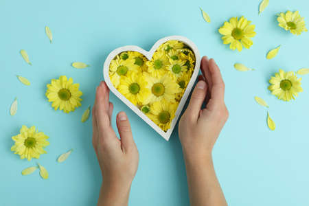 Female hands and heart with chrysanthemums on blue background.の写真素材