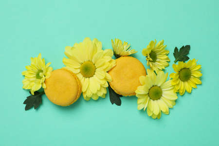 Yellow chrysanthemums and macaroons on mint background.の写真素材