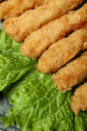 Ð¡oncept of tasty food with deep-fried, close upの写真素材