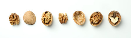 Flat lay composition with walnuts on white backgroundの写真素材