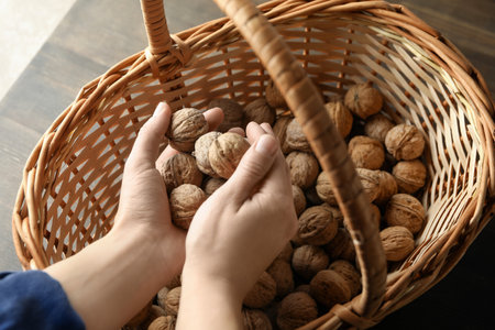 Female hands hold walnuts on background basket with walnutの写真素材