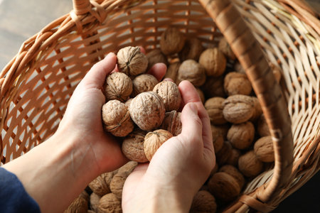 Female hands hold walnuts on background basket with walnutの写真素材