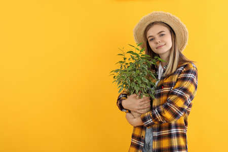 Young attractive girl gardener on yellow backgroundの写真素材