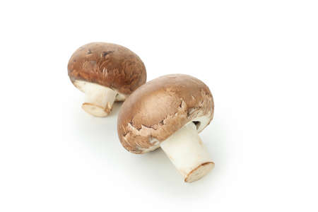 Tasty champignons mushrooms isolated on white backgroundの写真素材