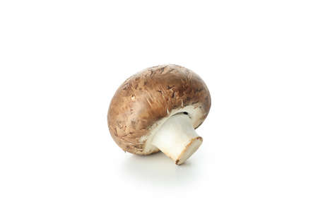 Tasty champignon mushroom isolated on white backgroundの写真素材