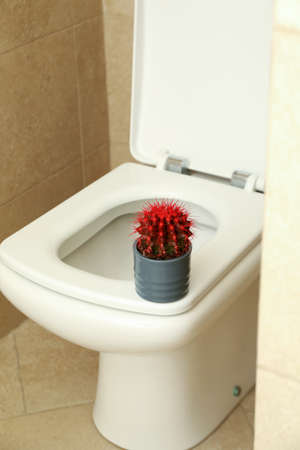 Toilet bowl with red cactus. Hemorrhoids conceptの写真素材