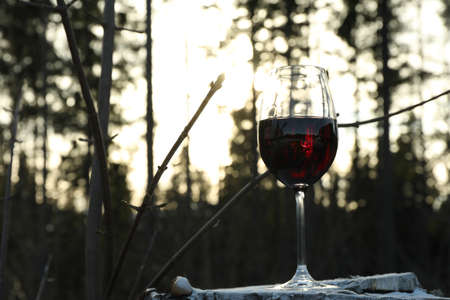 Glass of wine in forest, space for text
