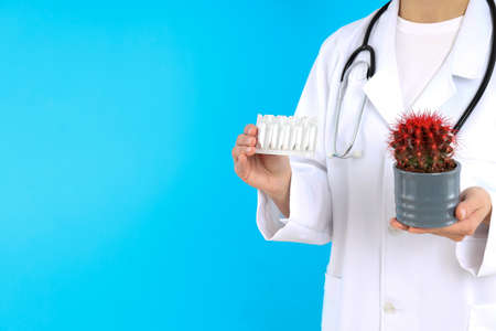 Doctor holds cactus and suppositories on blue background. Hemorrhoids conceptの写真素材