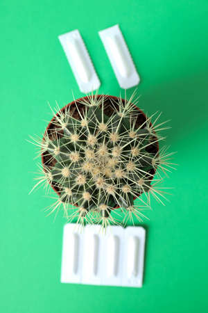 Concept of healthcare with hemorrhoids accessories on green background