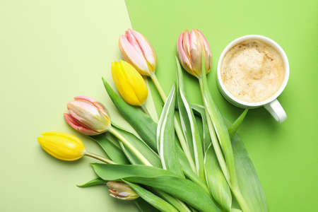 Coffee and tulips on two tone backgroundの写真素材