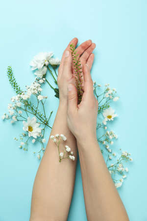 Female hands with flowers on blue backgroundの写真素材