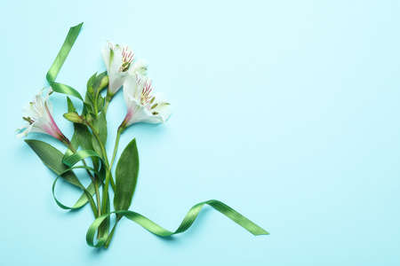 Lilies with green ribbon on blue backgroundの写真素材