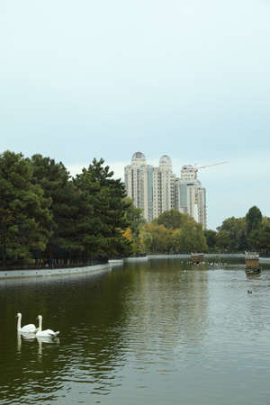Pond in a city park on an autumn day