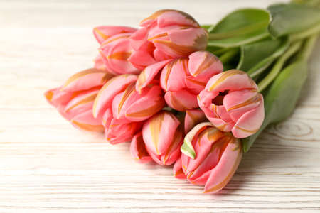 Bouquet of pink tulips on white wooden backgroundの写真素材