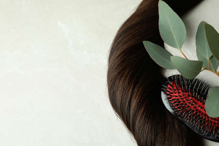 A lock of female hair, hairbrush and branch on light backgroundの写真素材