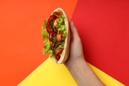 Concept of tasty food with pita with chicken, top view