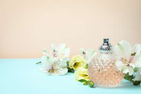 Concept of female perfume, space for textの写真素材