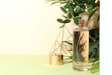 Concept of female perfume, space for text