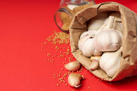 Concept of cooking with garlic on red background