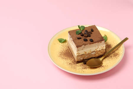 Concept of tasty dessert with Tiramisu cake, space for text