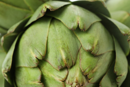 Concept of healthy food with artichoke plantの写真素材