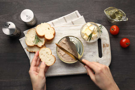 Concept of tasty appetizers with pate, top view