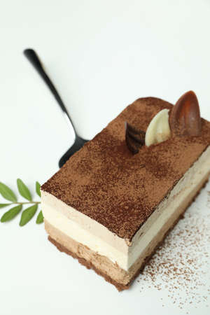Concept of tasty dessert with Tiramisu cake, close up