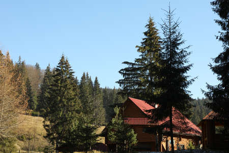 House in Carpathian mountains in sunny day
