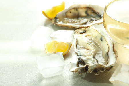 Concept of seafood, oysters, space for textの写真素材
