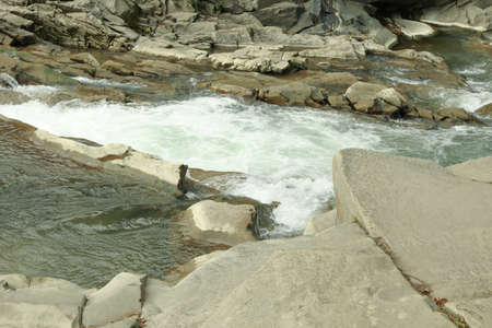 River in the Carpathian mountains in autumn