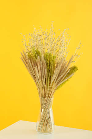 Hygge concept, dried flowers against yellow backgroundの写真素材