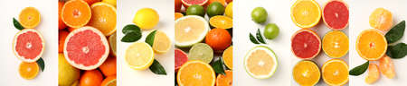 Collage of photos of different citrus fruitsの写真素材