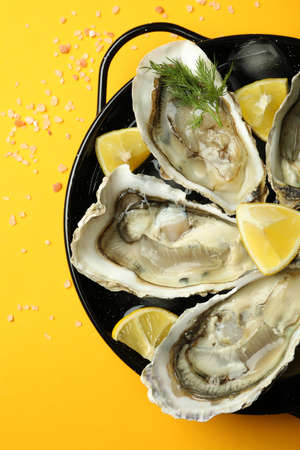 Concept of delicious seafood, oysters on orange background