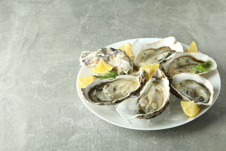 Concept of seafood, oysters, space for text