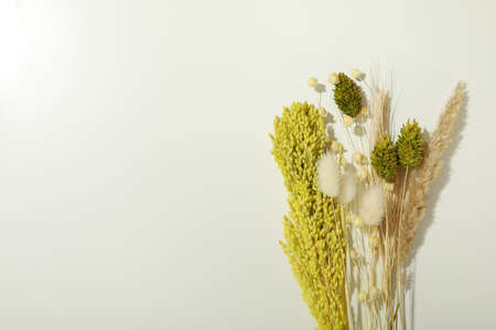 Concept or composition of Hygge with dried flowersの写真素材