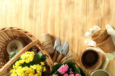 Accessories and tools for gardening on wooden tableの写真素材